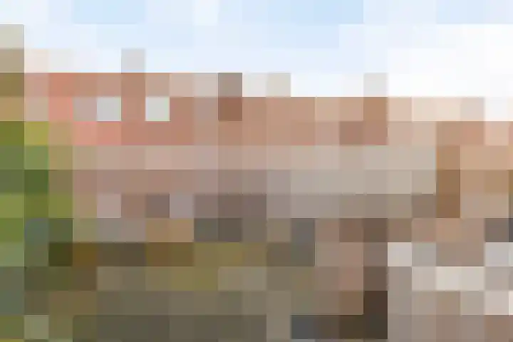 Cederstraat 62 's-Hertogenbosch thumbnail 31