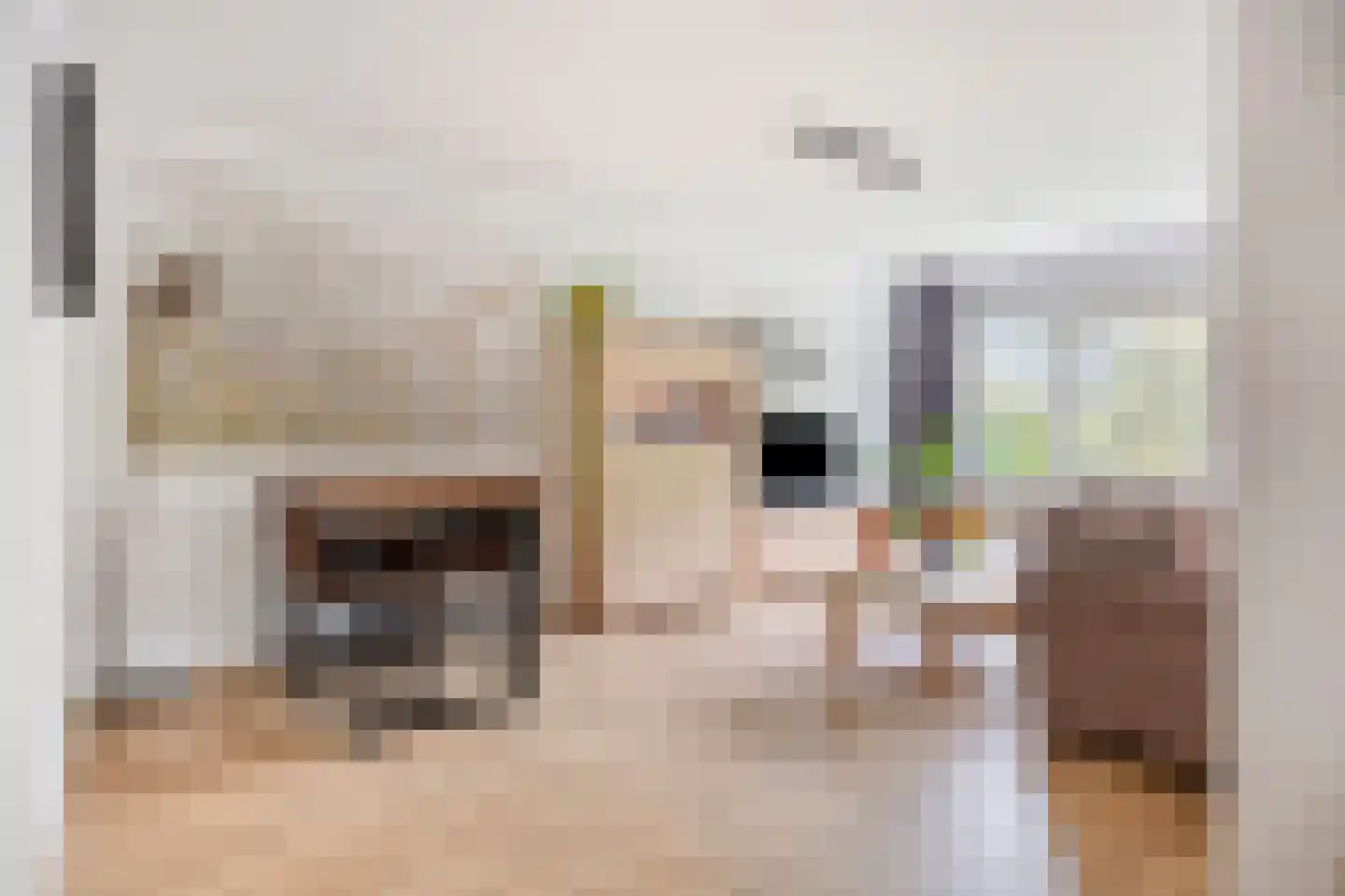 Cederstraat 63 Tilburg thumbnail 11