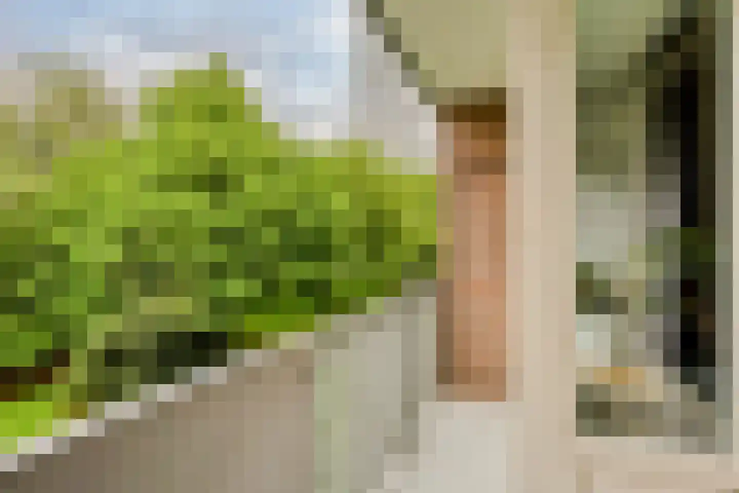 Cederstraat 63 Tilburg thumbnail 23