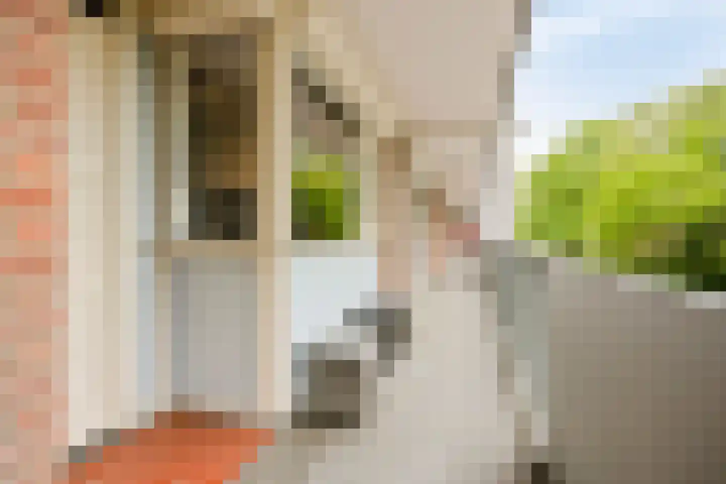 Cederstraat 63 Tilburg thumbnail 28