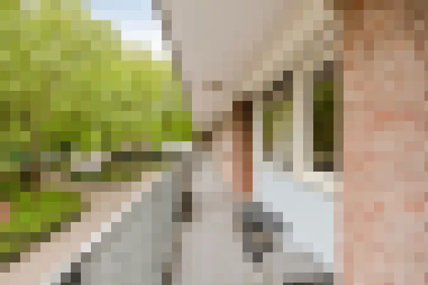 Cederstraat 63 Tilburg thumbnail 29