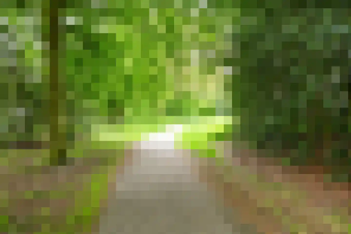 Cederstraat 63 Tilburg thumbnail 36