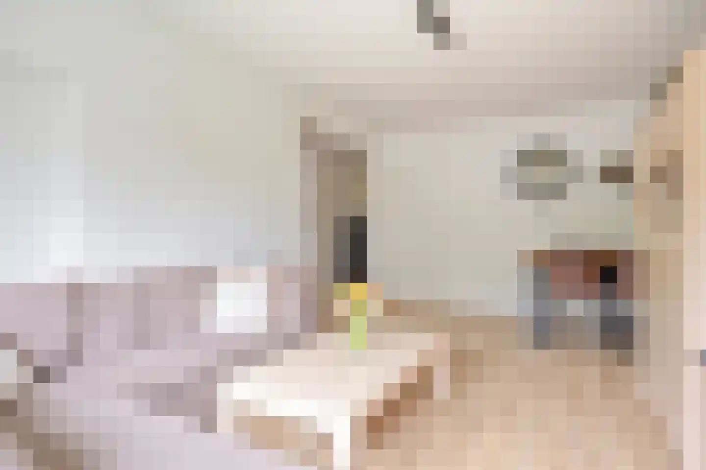 Cederstraat 63 Tilburg thumbnail 7