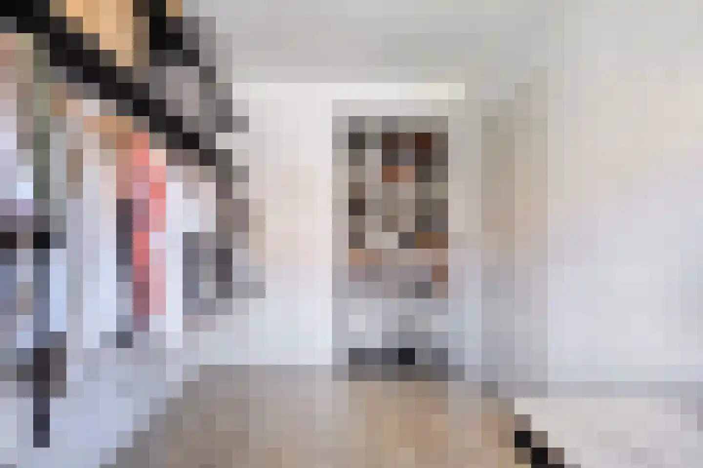 Cederstraat 64 's-Hertogenbosch thumbnail 18