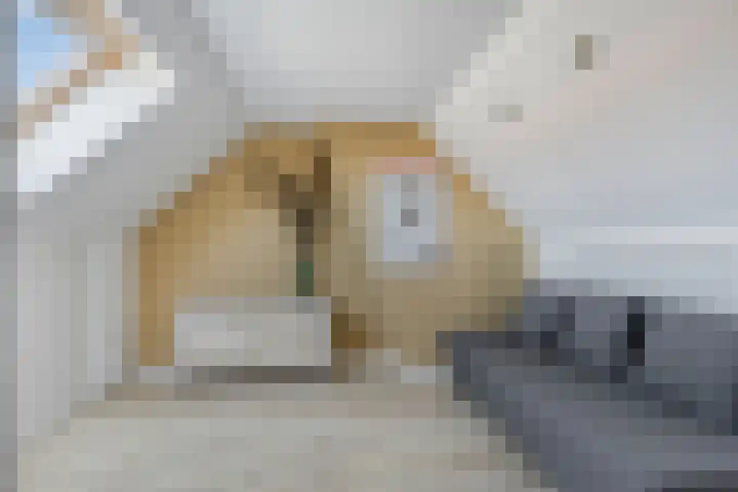 Cederstraat 64 's-Hertogenbosch thumbnail 21