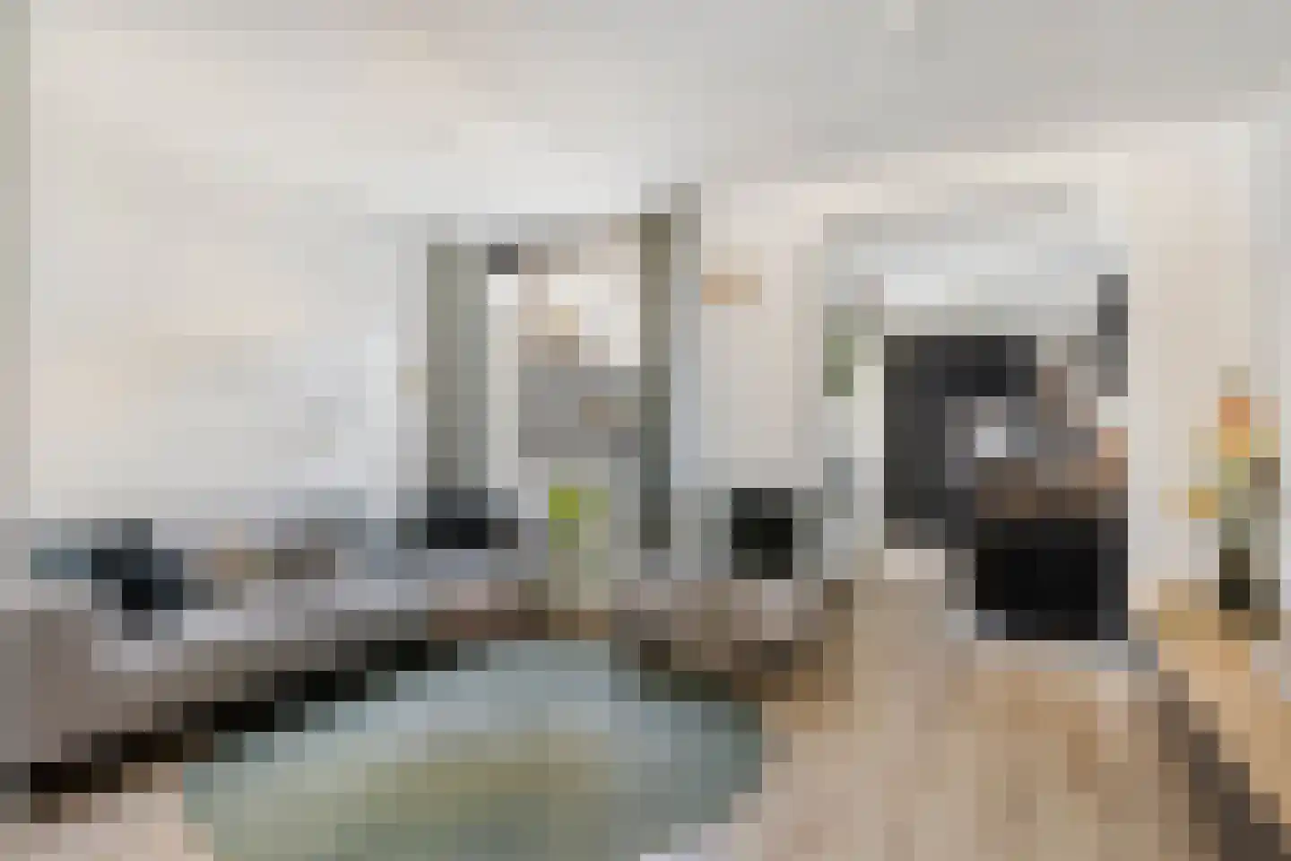 Cederstraat 64 's-Hertogenbosch thumbnail 5