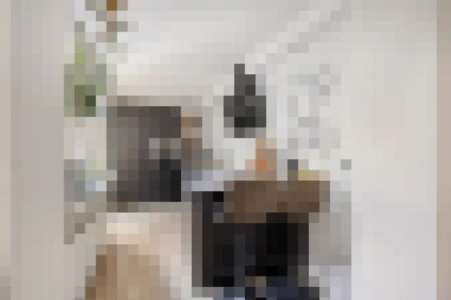 Cederstraat 64 's-Hertogenbosch thumbnail 6