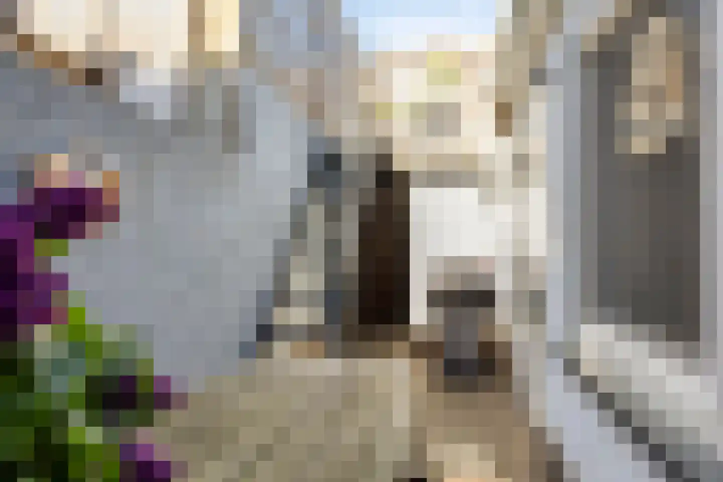Cederstraat 64 's-Hertogenbosch thumbnail 9