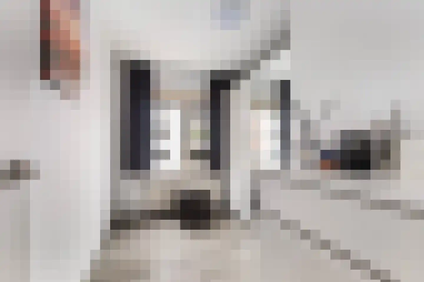 Cederstraat 7 Leeuwarden thumbnail 35