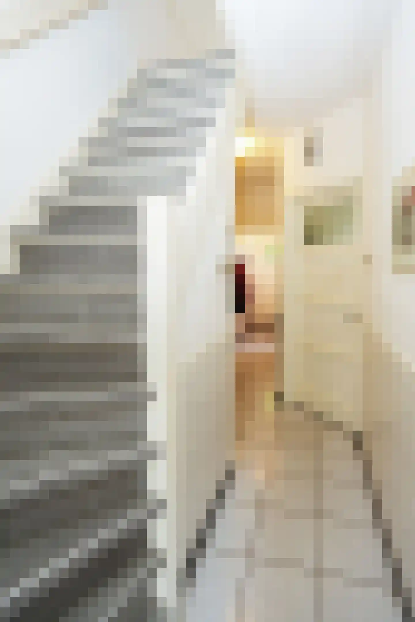 Cederstraat 7 Nijmegen thumbnail 14