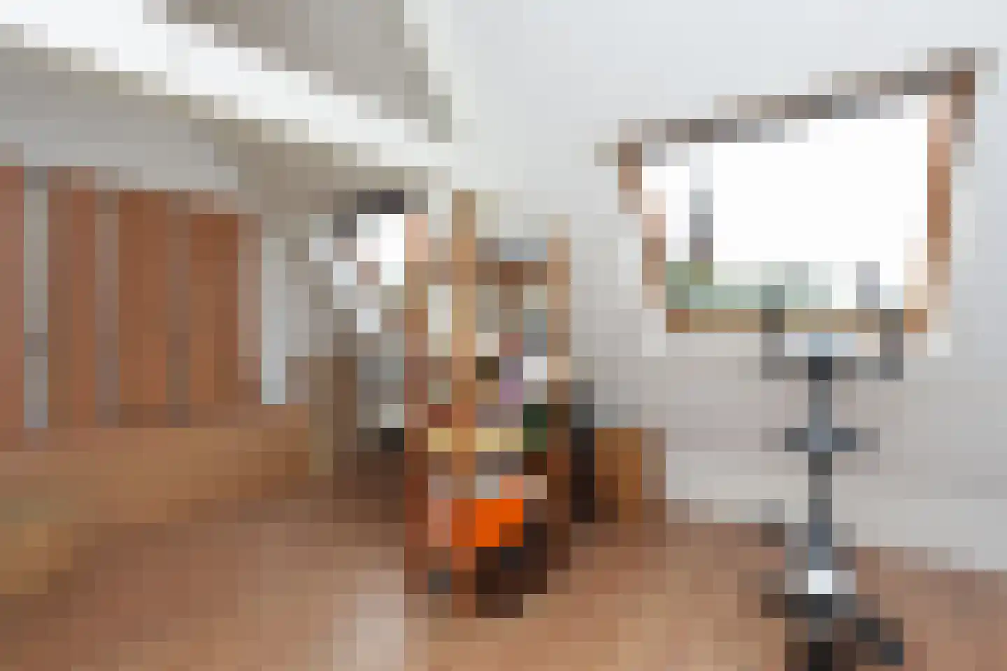 Cederstraat 7 Nijmegen thumbnail 24