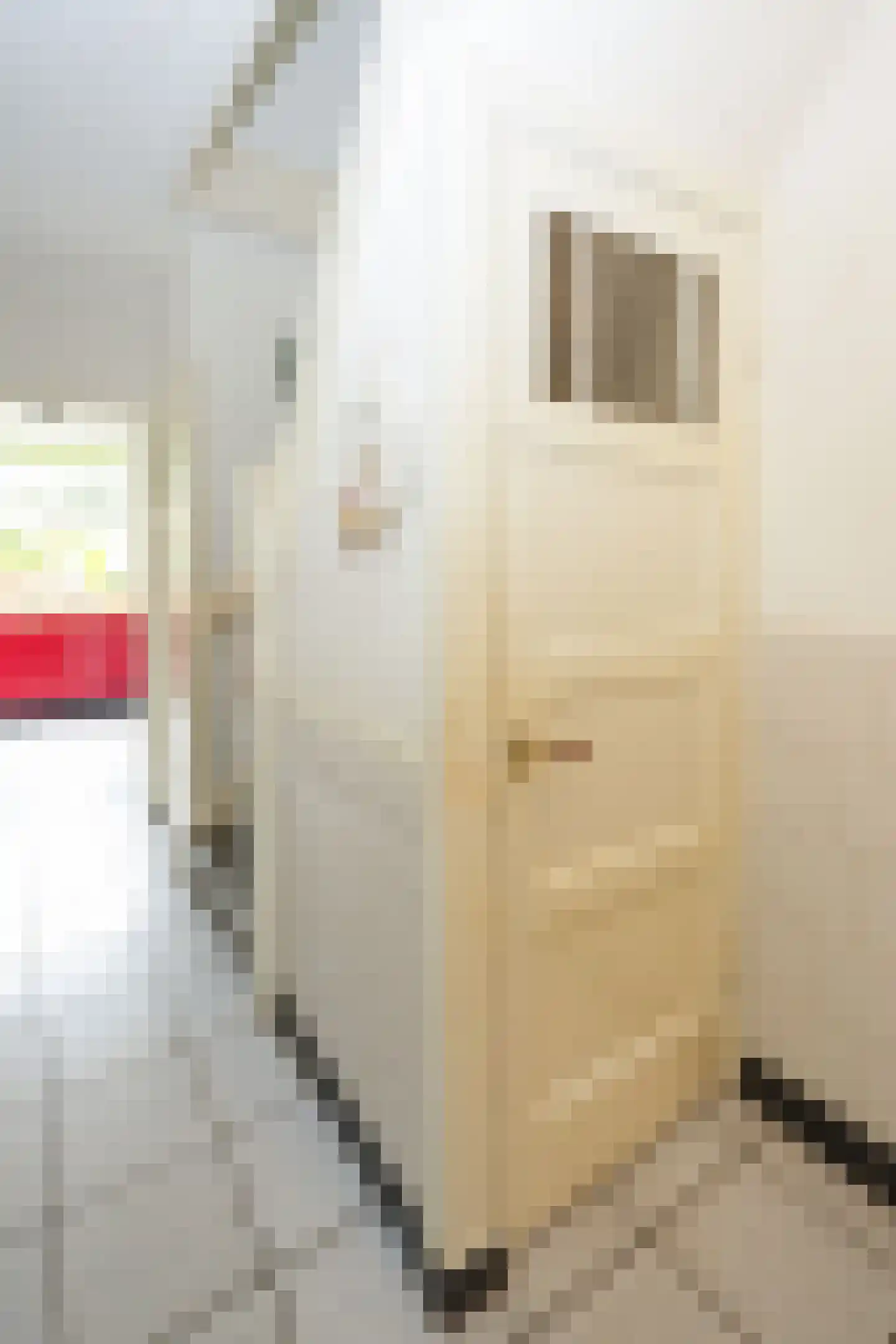 Cederstraat 7 Nijmegen thumbnail 7