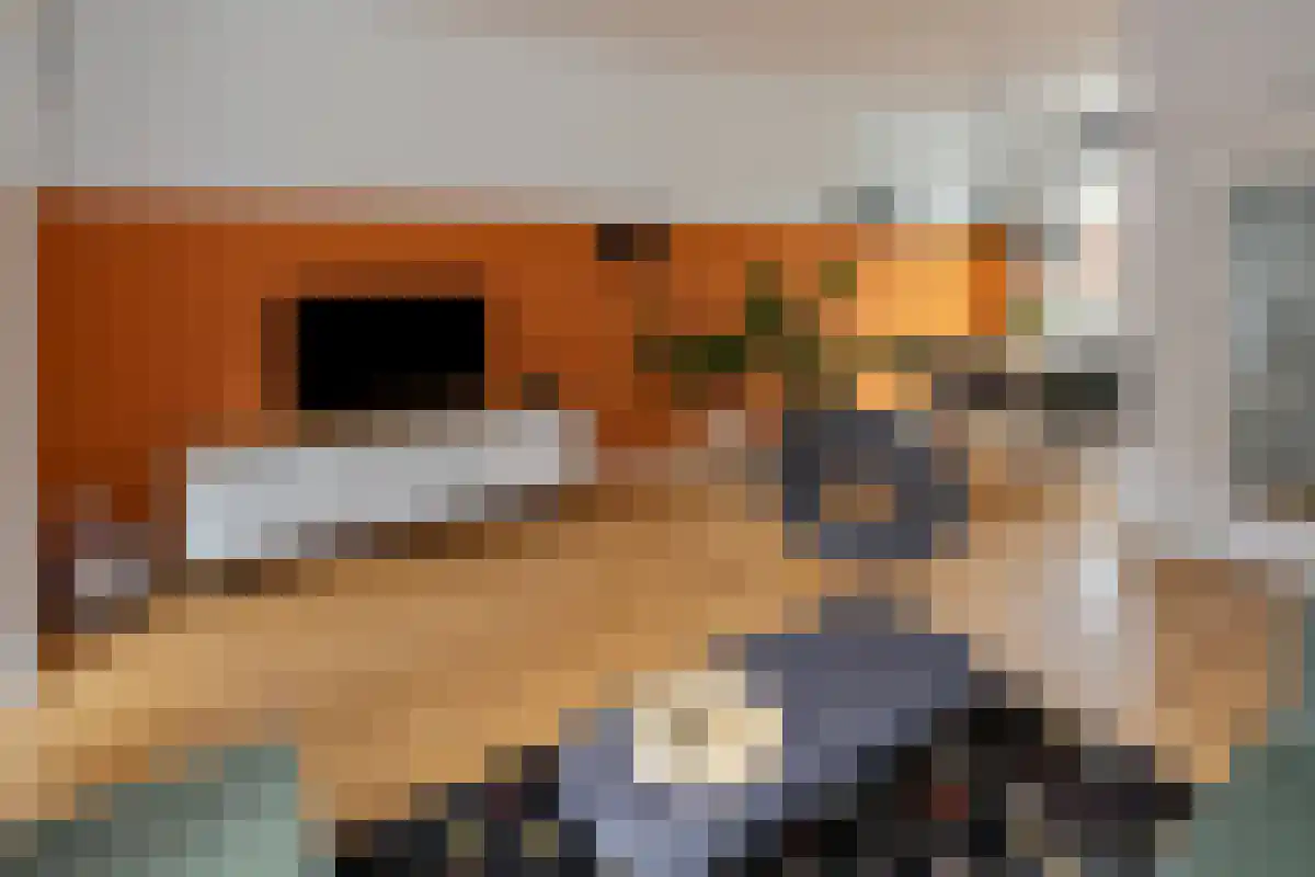 Cederstraat 76 's-Hertogenbosch thumbnail 4