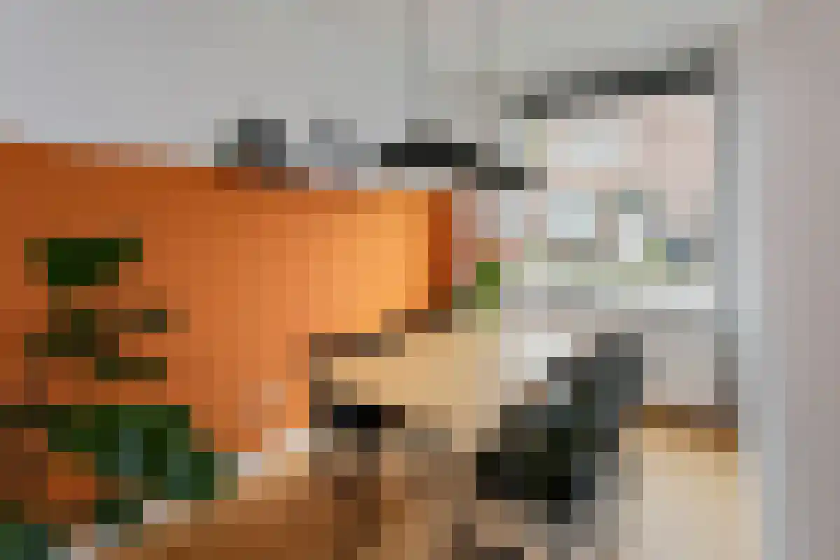 Cederstraat 76 's-Hertogenbosch thumbnail 5