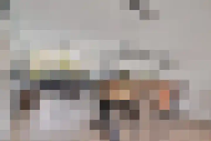 Cederstraat 8 Alphen aan den Rijn thumbnail 10