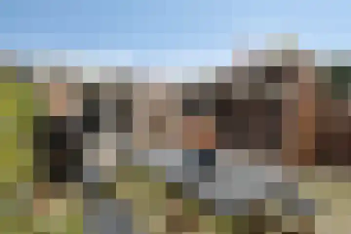 Cederstraat 8 Alphen aan den Rijn thumbnail 29