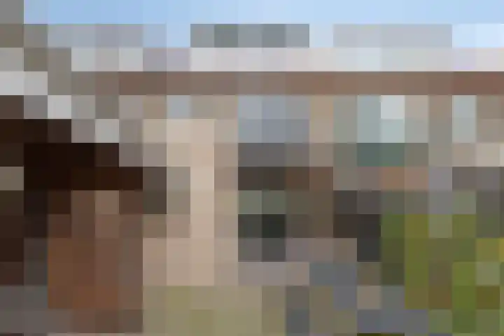 Cederstraat 8 Alphen aan den Rijn thumbnail 30