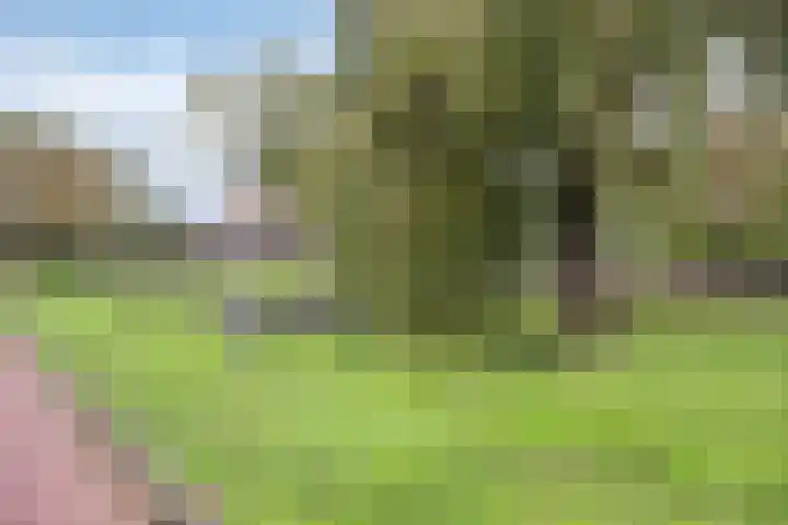 Cederstraat 8 Alphen aan den Rijn thumbnail 31