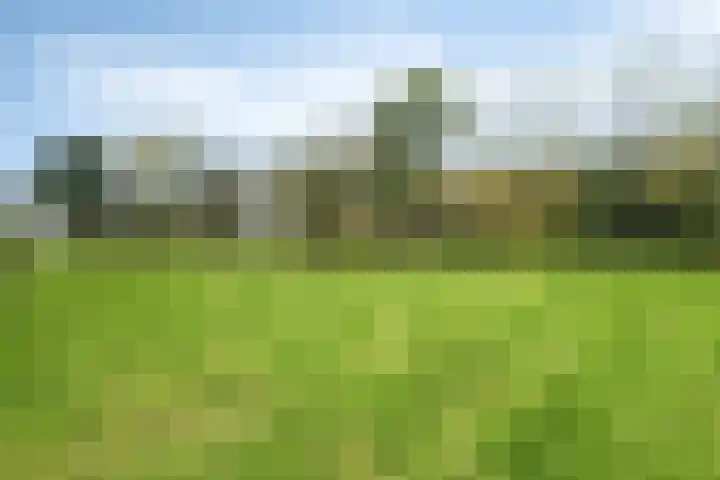 Cederstraat 8 Alphen aan den Rijn thumbnail 32
