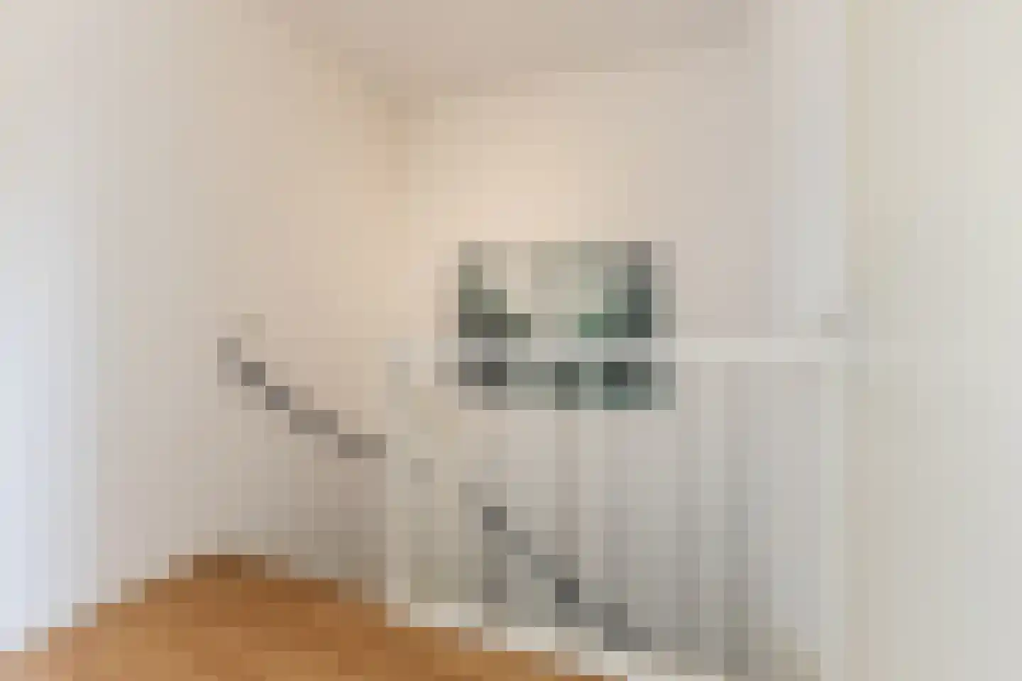 Cederstraat 8 Sterksel thumbnail 13