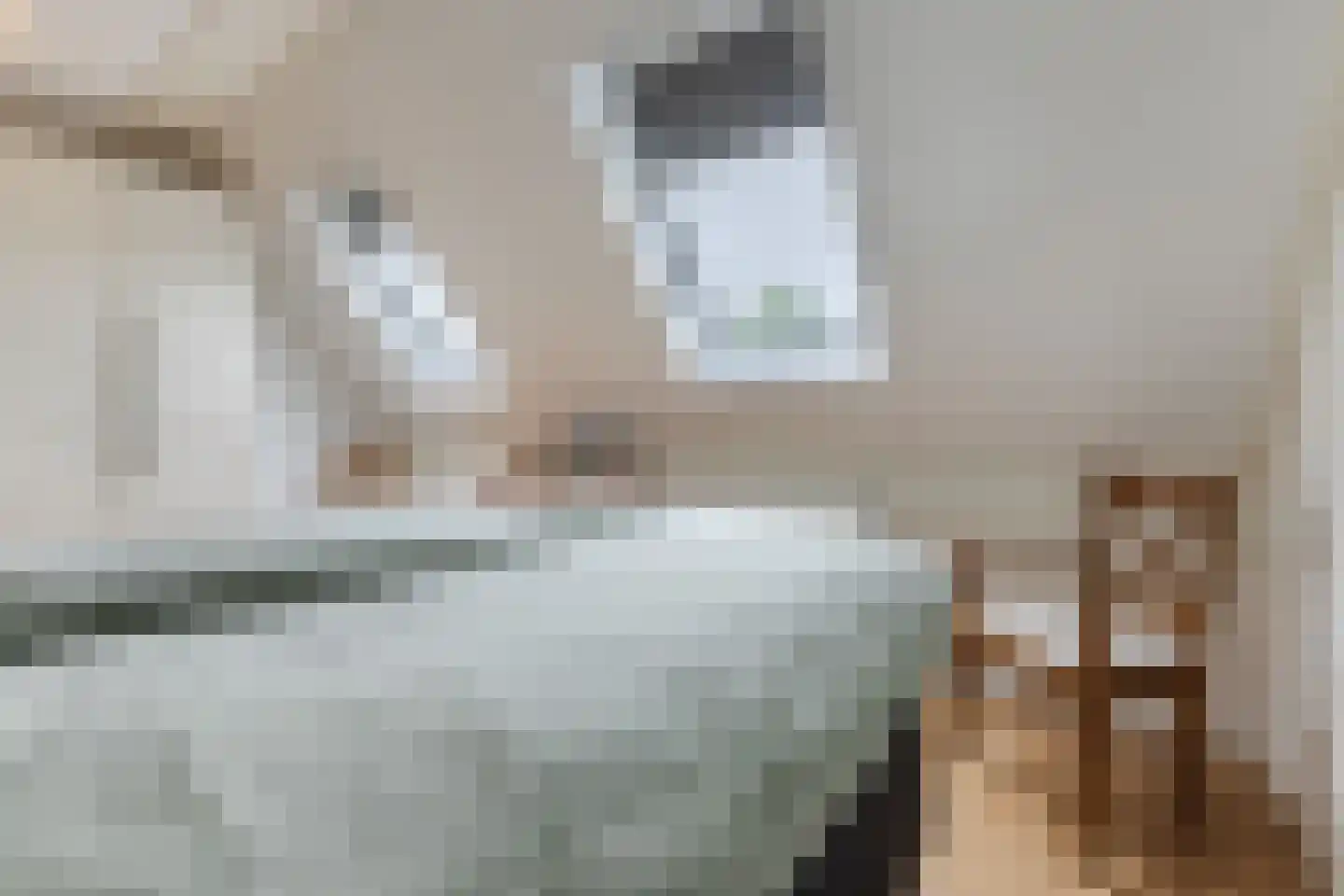 Cederstraat 8 Sterksel thumbnail 17