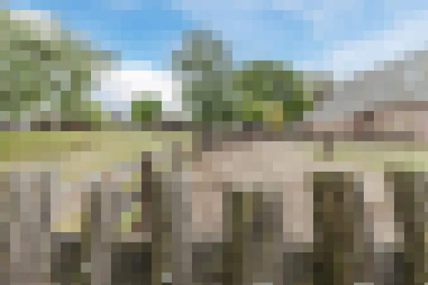 Cederstraat 8 Sterksel thumbnail 31