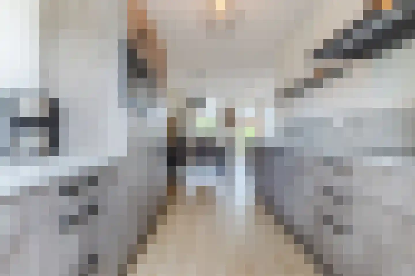 Cederstraat 8 Sterksel thumbnail 6