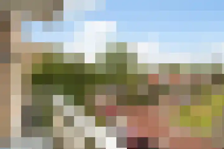 Cederstraat 81 Alphen aan den Rijn thumbnail 32