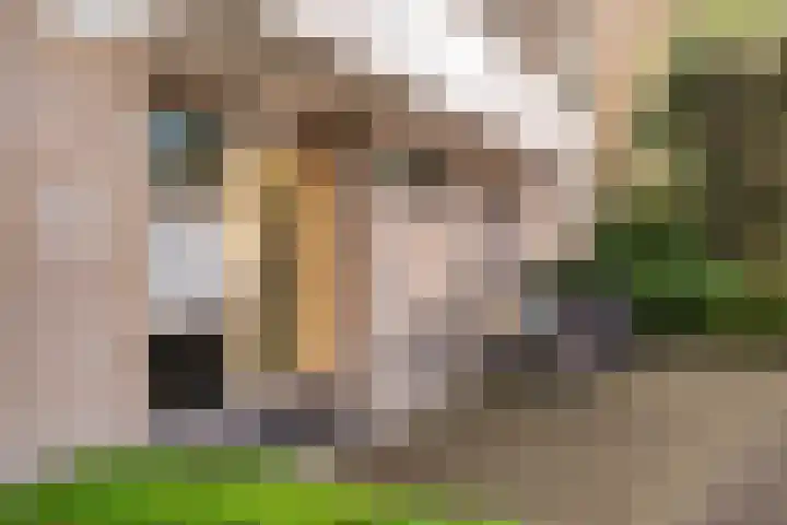 Cederstraat 81 Alphen aan den Rijn thumbnail 6