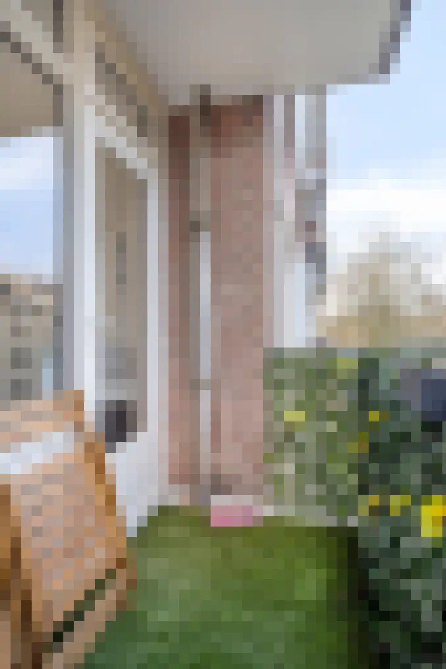 Cederstraat 81 Tilburg thumbnail 21