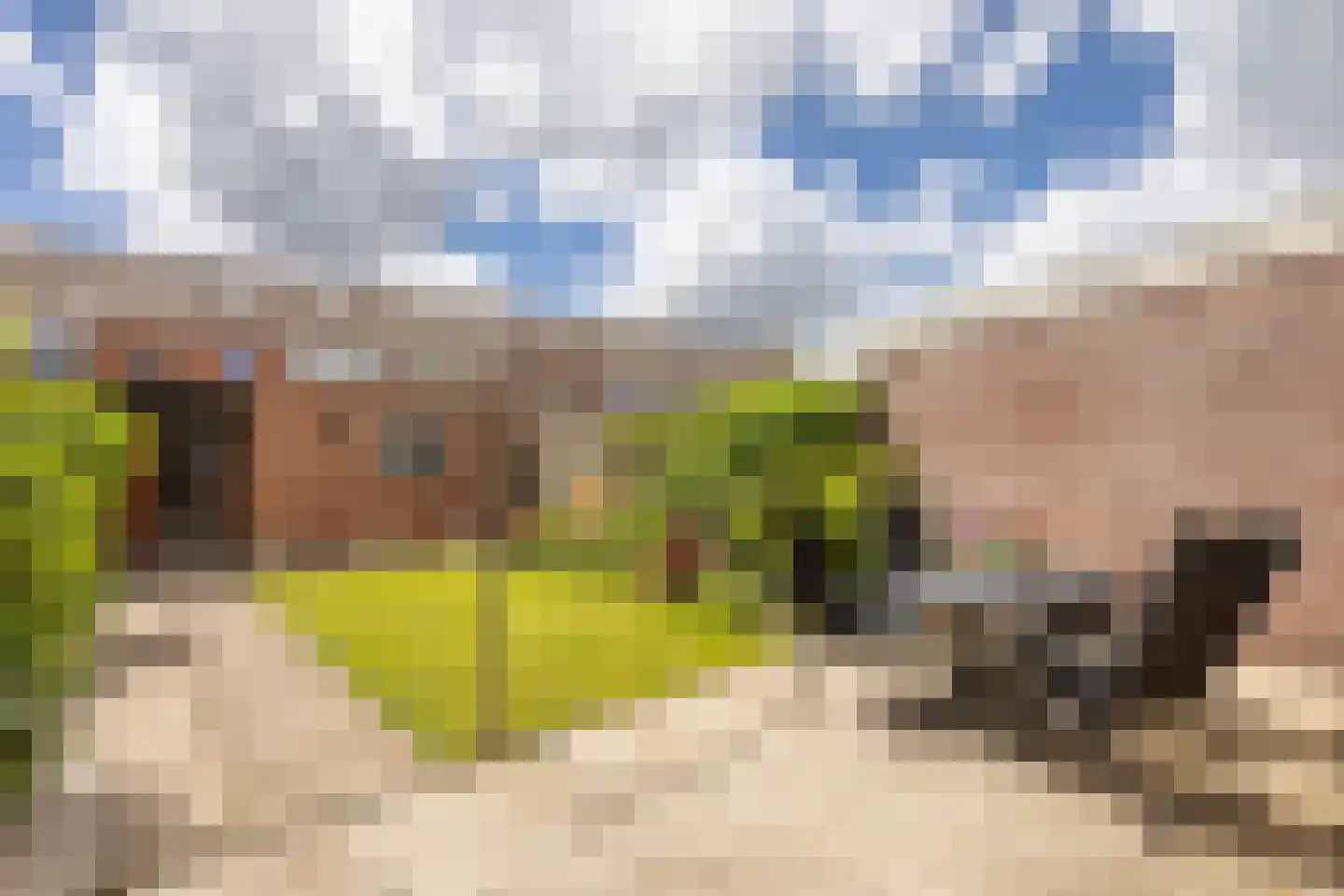 Cederstraat 9 Terneuzen thumbnail 25