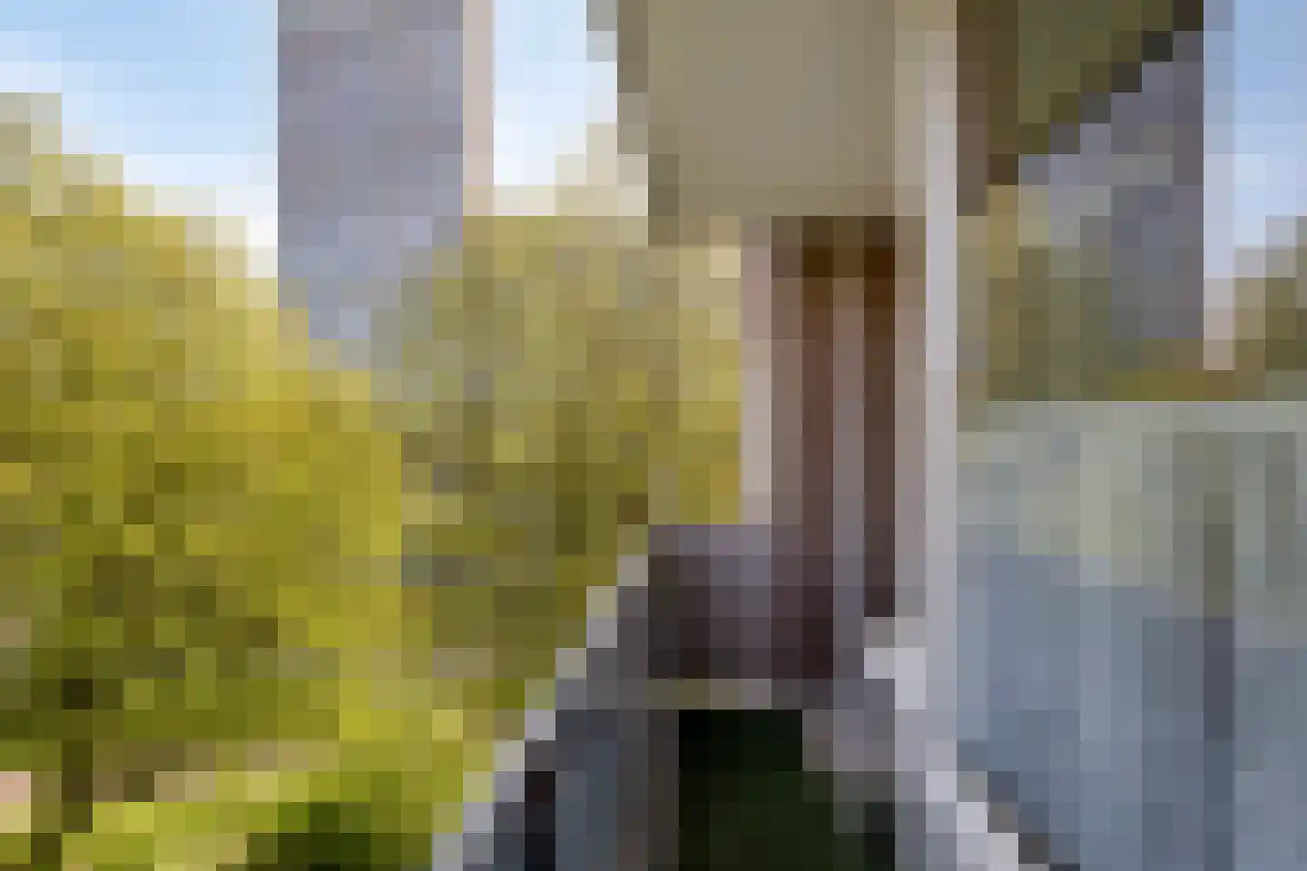 Cederstraat 93 Tilburg thumbnail 21