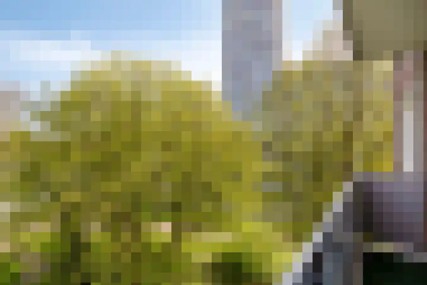 Cederstraat 93 Tilburg thumbnail 22