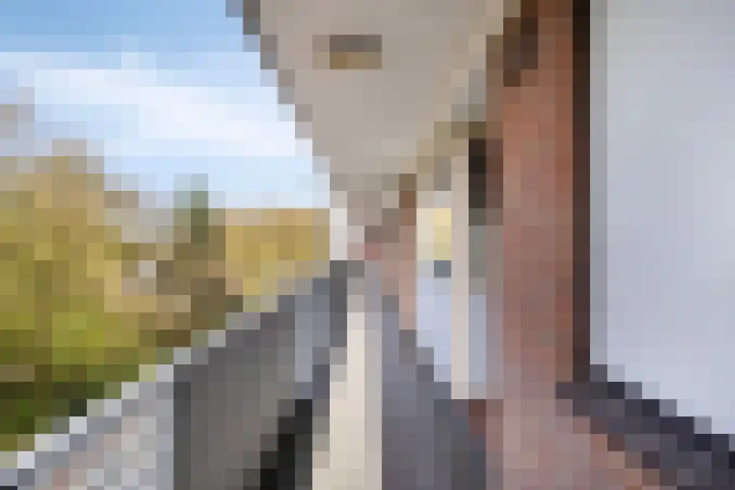 Cederstraat 93 Tilburg thumbnail 26