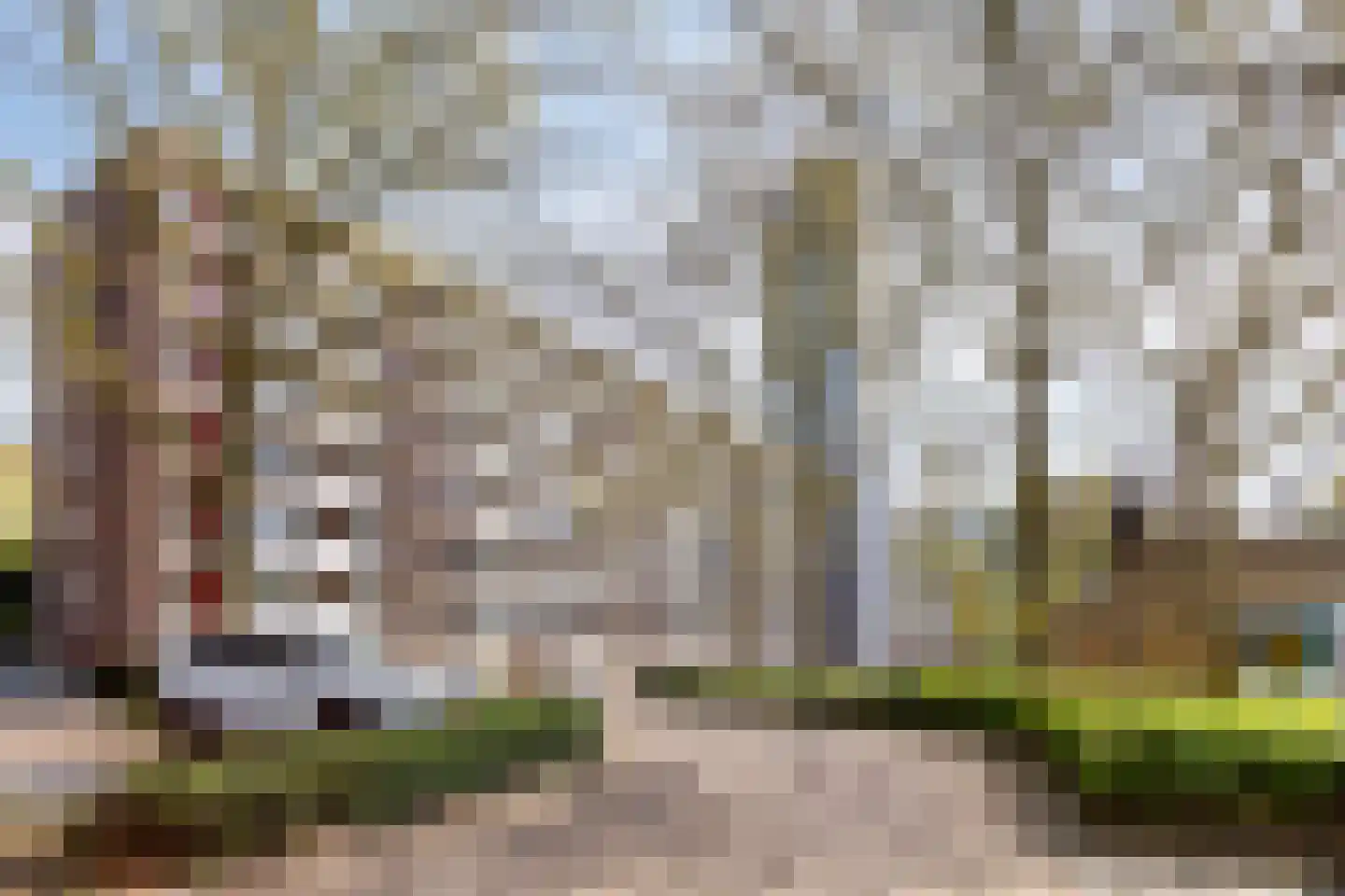 Cederstraat 93 Tilburg thumbnail 31