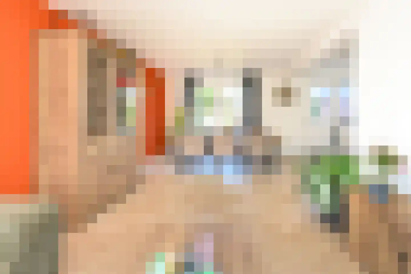Cederweg 12 Klarenbeek thumbnail 4