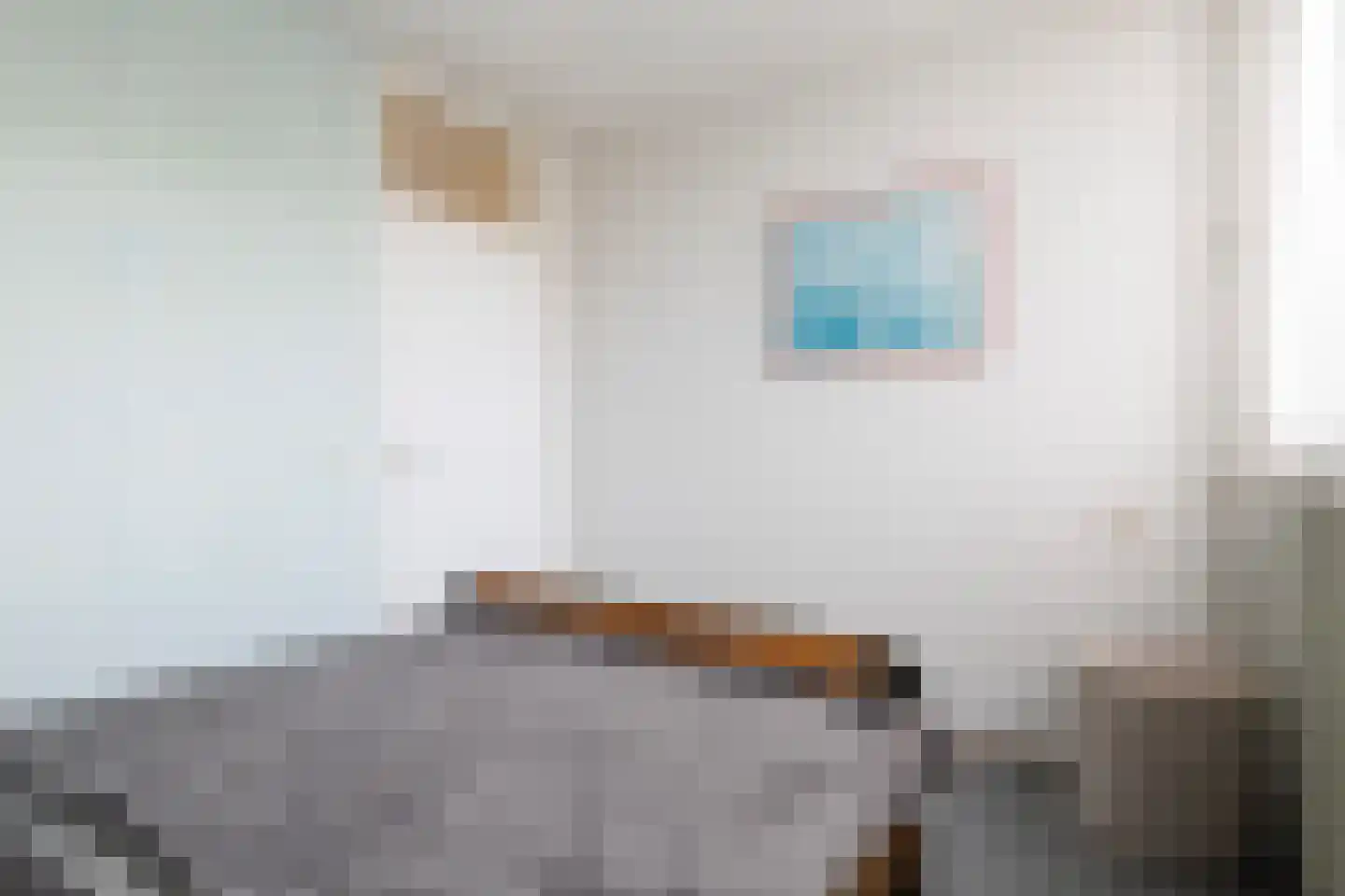 Cedrushôf 5 Stiens thumbnail 24