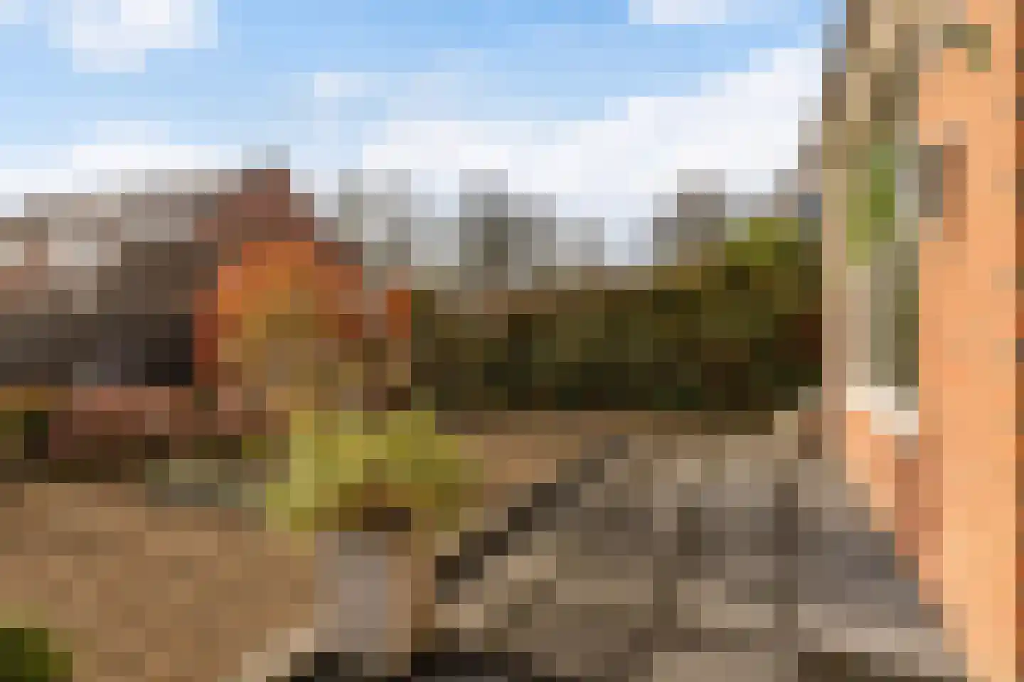 Cedrushôf 5 Stiens thumbnail 31