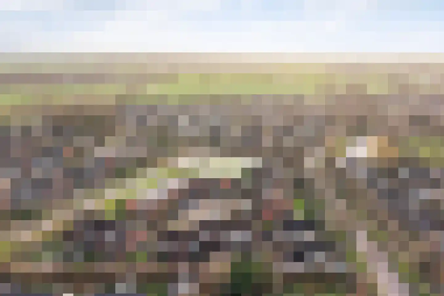 Cedrushôf 5 Stiens thumbnail 37