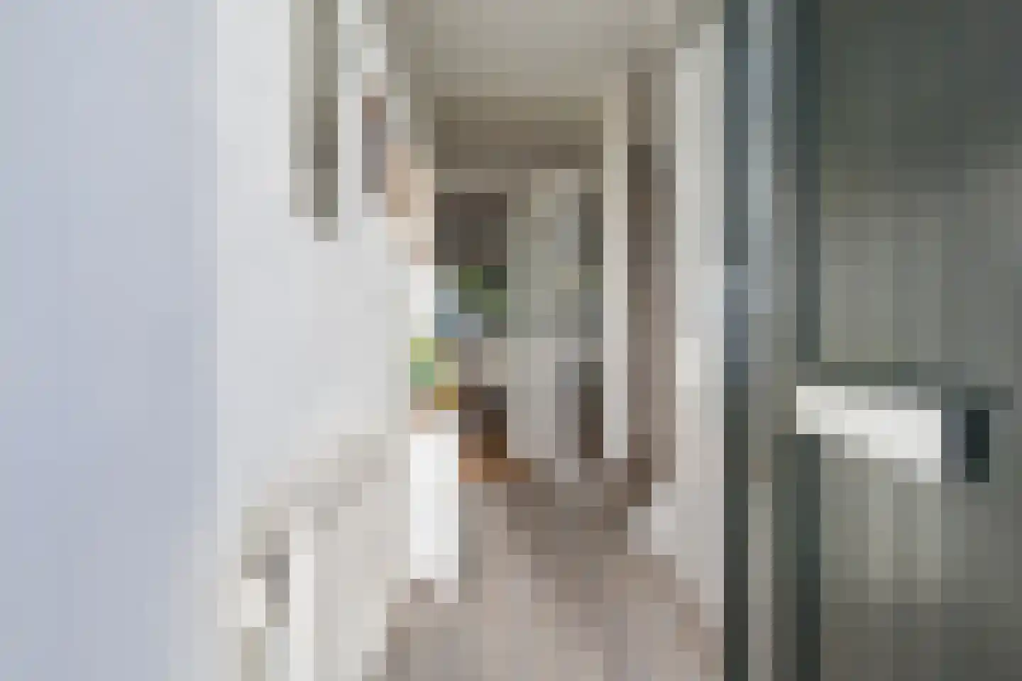 Cedrushôf 5 Stiens thumbnail 4