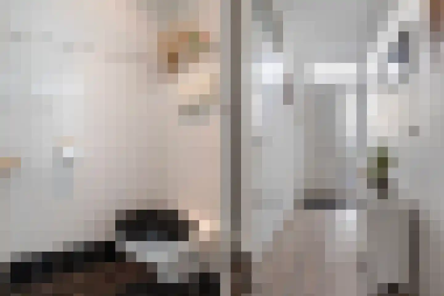 Cedrushôf 5 Stiens thumbnail 5