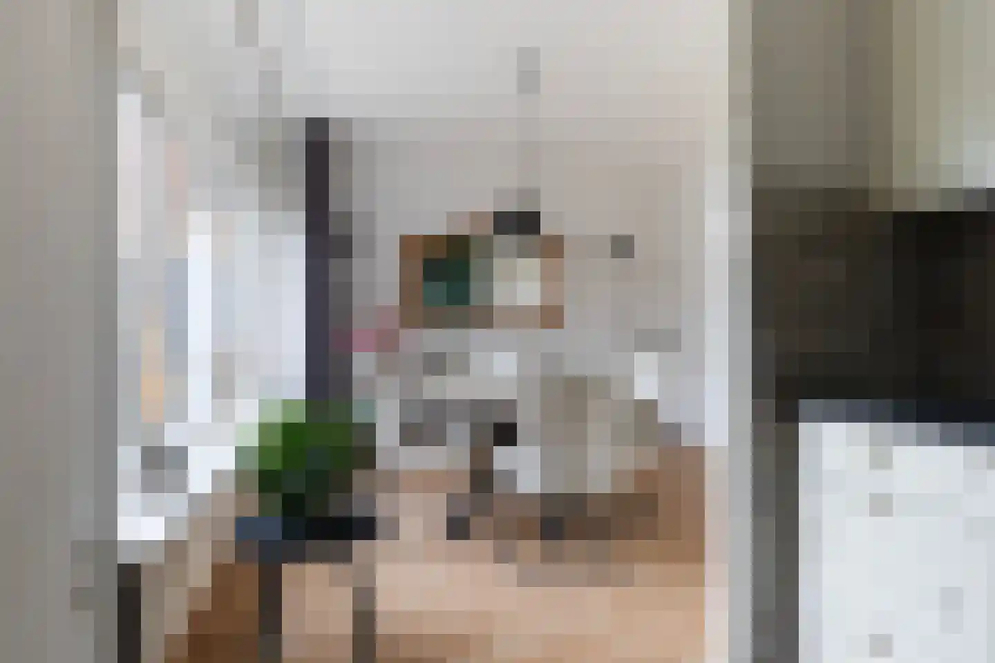 Cedrushôf 5 Stiens thumbnail 9
