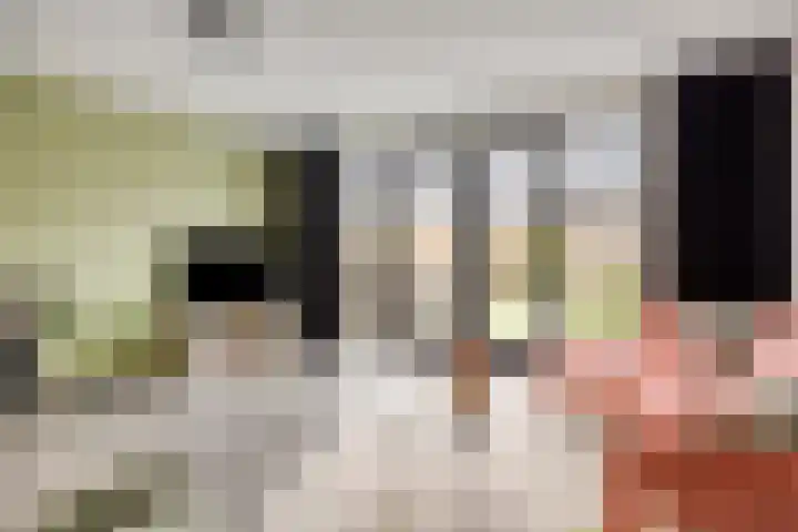 Cedule 18 Hardenberg thumbnail 10