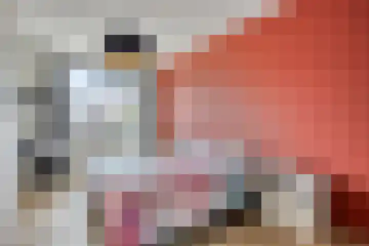 Cedule 18 Hardenberg thumbnail 18