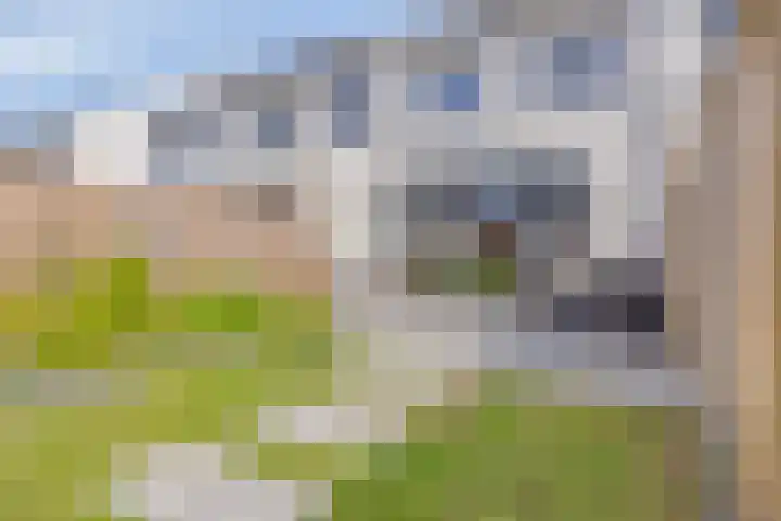 Cedule 18 Hardenberg thumbnail 27