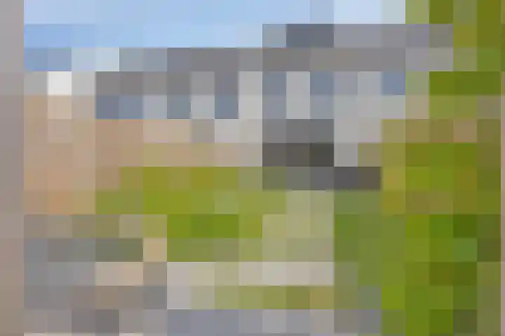 Cedule 18 Hardenberg thumbnail 28