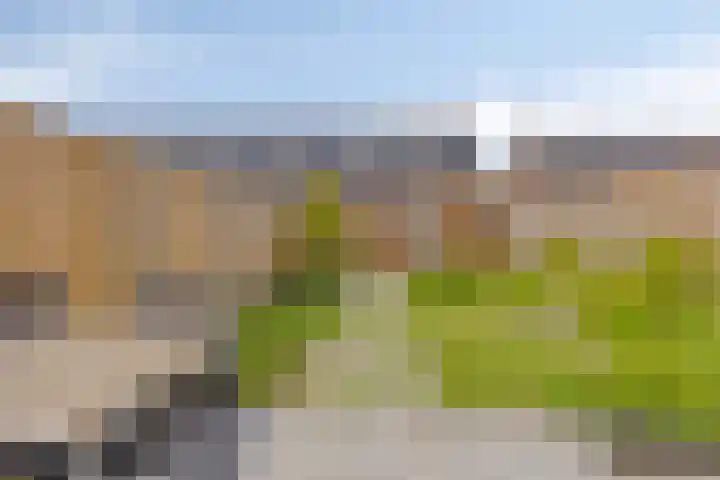Cedule 18 Hardenberg thumbnail 29