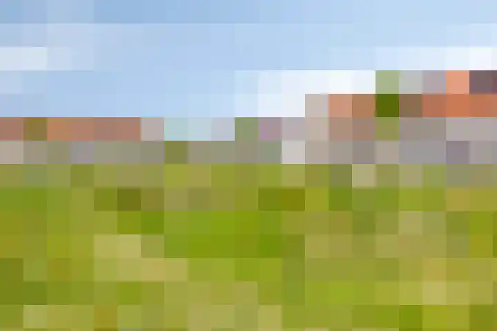 Cedule 18 Hardenberg thumbnail 35