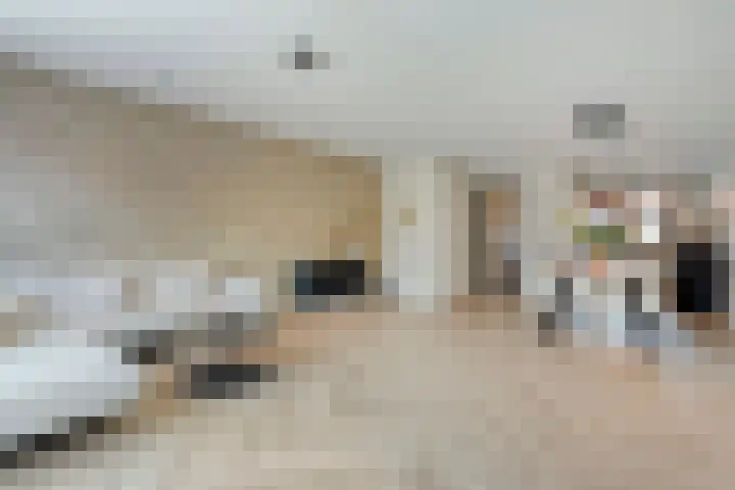 Cedule 20 Hardenberg thumbnail 11