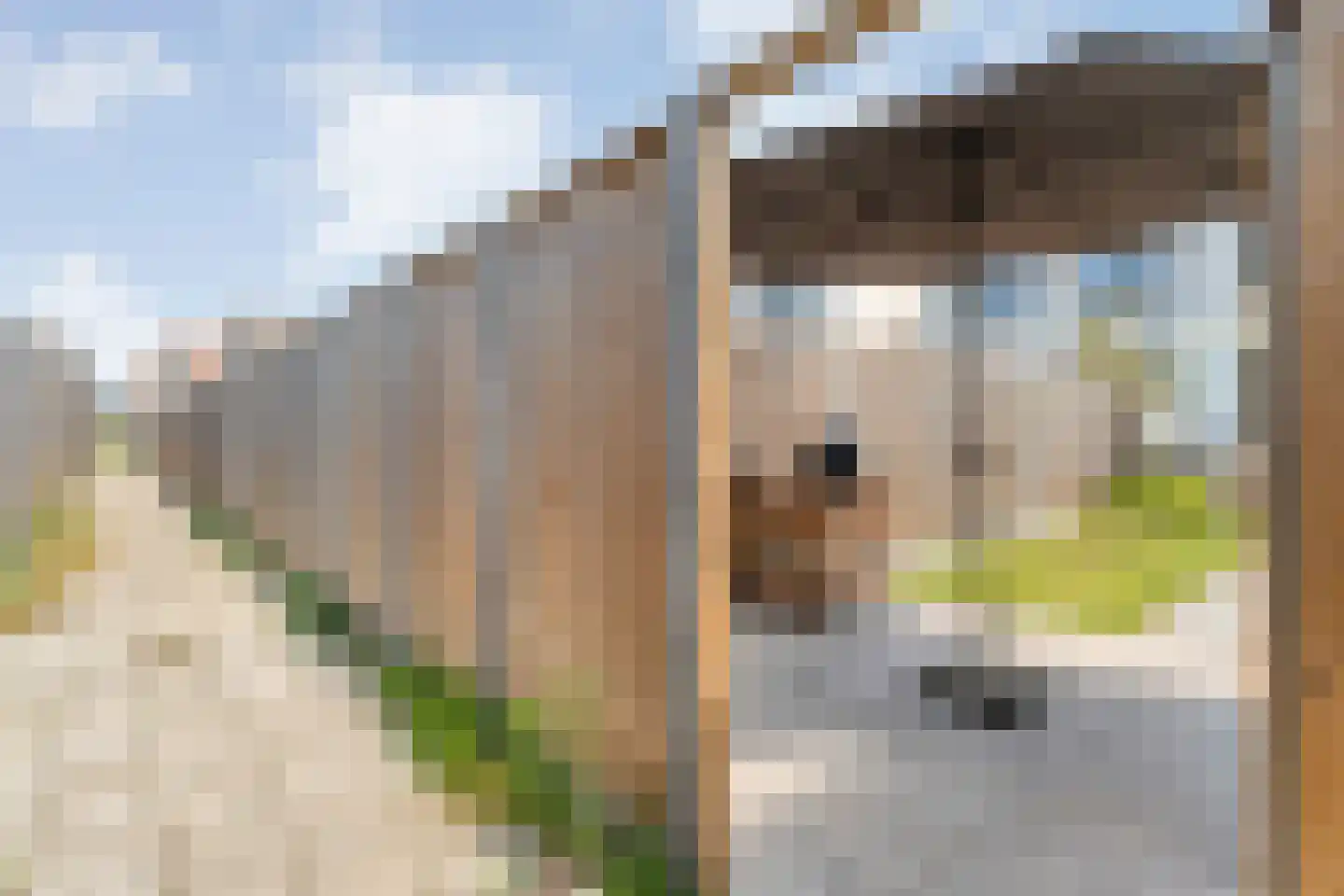 Cedule 20 Hardenberg thumbnail 45